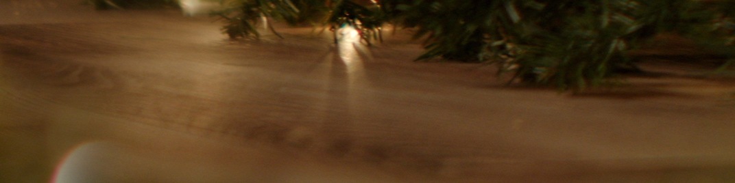 Garland_Lights_Far_UW_SD.jpg