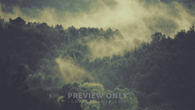 The_Indwelling_Word_WIDE-TITLE-3#preset=tg_title3.jpg