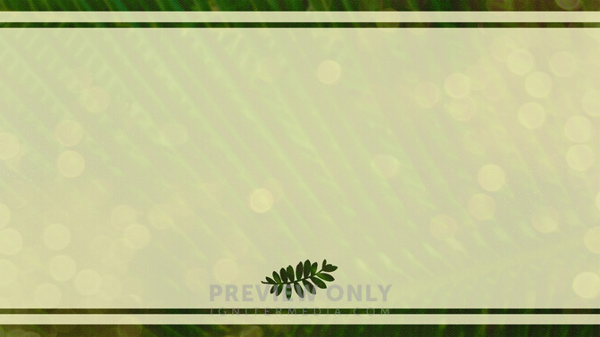 Palm_Bokeh_-_Welcome_16x9-BACKGROUND#preset=tg_bg.jpg