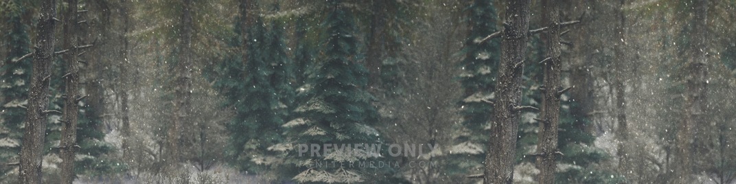 Winter_Wonderland_8_UW_SD.jpg