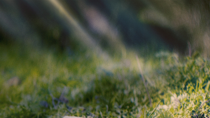 Goodbye-WIDE#preset=tg_alt2.jpg