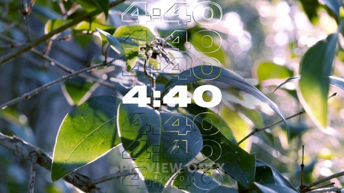 Spring_2020_Countdown_HD.jpg