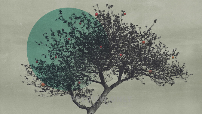 Fruit-Bearing_Season_16x9-TITLE-3#preset=tg_title3.jpg
