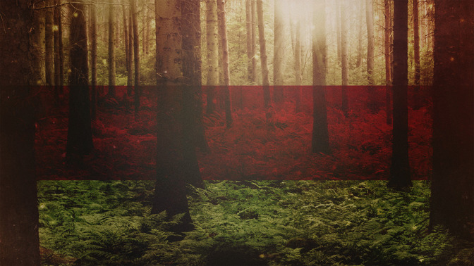 Fall_Twilight_-_Welcome_16x9-TITLE-3#preset=tg_title3.jpg