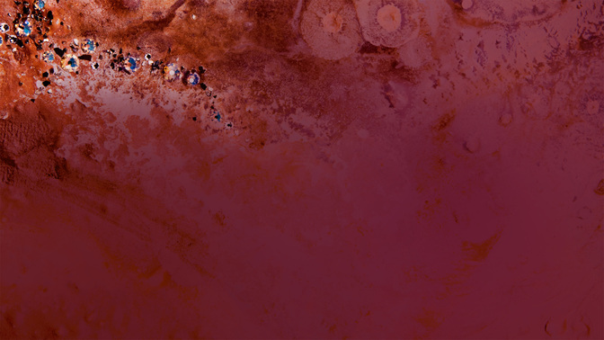 Offering-WIDE#preset=tg_alt2.jpg