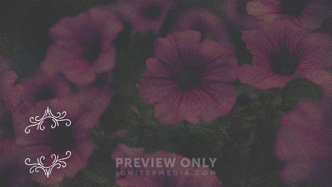 Spring_Swirls_-_Follow_Us_16x9-CONTENT-3#preset=tg_alt3.jpg