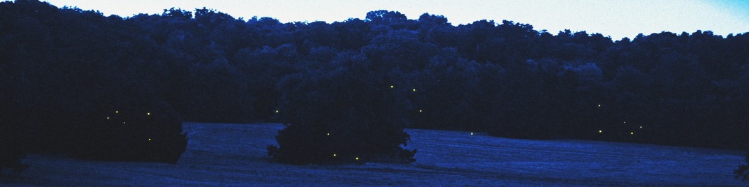 fireflies - hollow