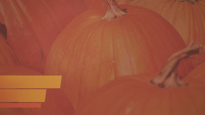 Pumpkin_Patch_16x9-CONTENT-3#preset=tg_alt3.jpg