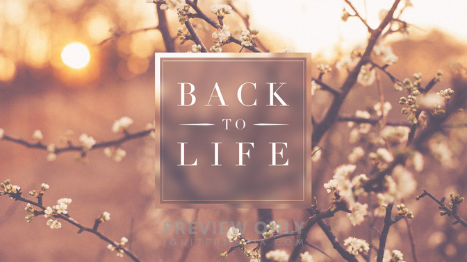 Back_To_Life_16x9-TITLE-2#preset=tg_title2.jpg