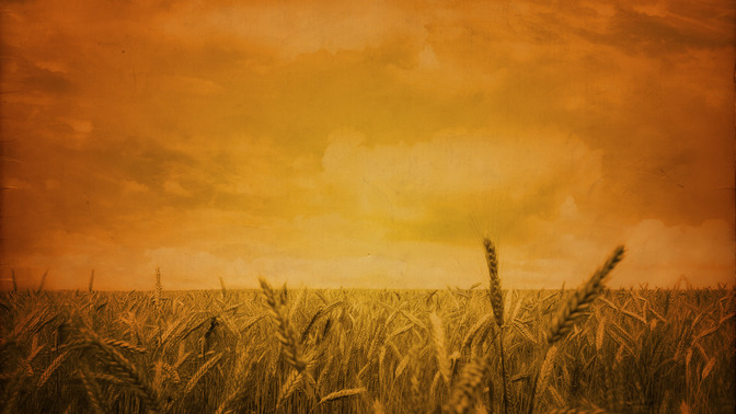 God_Provides_16x9-BACKGROUND#preset=tg_bg.jpg