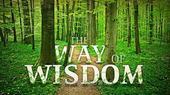 The_Way_of_Wisdom_16x9-TITLE-2#preset=tg_title2.jpg