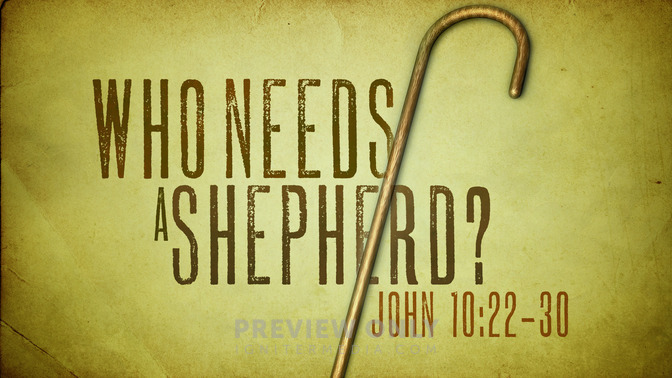 who needs a shepherd?