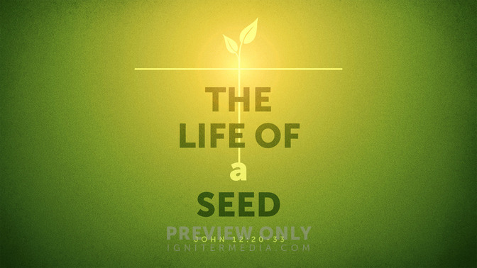 The_Life_of_a_Seed_16x9-TITLE-1#preset=tg_title1.jpg