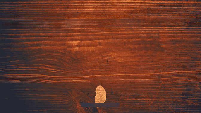 Wood_Leaves-Welcome_WIDE-CONTENT-3#preset=tg_alt3.jpg