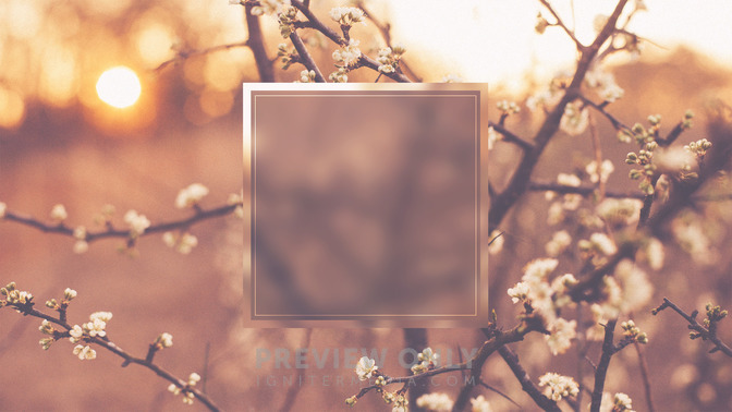 Back_To_Life_16x9-TITLE-3#preset=tg_title3.jpg