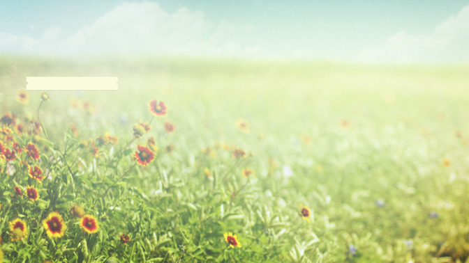 Field_-_Welcome_To_Church_16x9-CONTENT-3#preset=tg_alt3.jpg