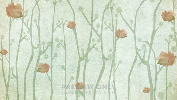 Cherry_Blossom_White_16x9.jpg