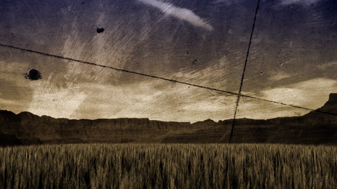 harvest field