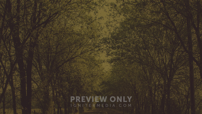 The_Path_of_Life_16x9-BACKGROUND#preset=tg_bg.jpg