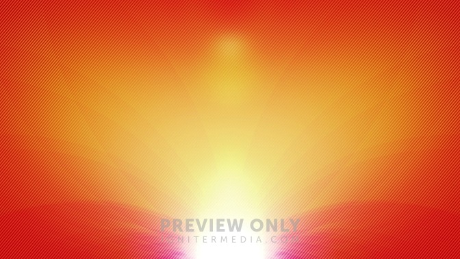 Orange_Flower_16x9.jpg