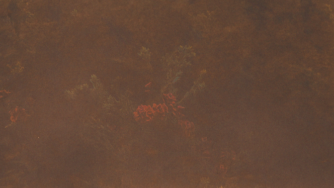 velvet flourish - 2