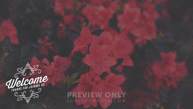 Spring_Swirls_-_Welcome_16x9-CONTENT-1#preset=tg_alt1.jpg