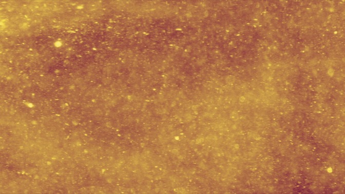 new year sparkle - celebrate