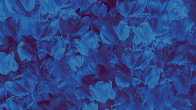 hyper bloom - 11