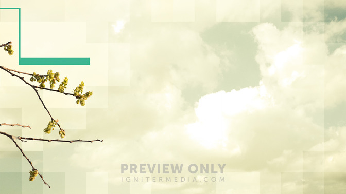 All_Things_New_16x9-CONTENT-3#preset=tg_alt3.jpg