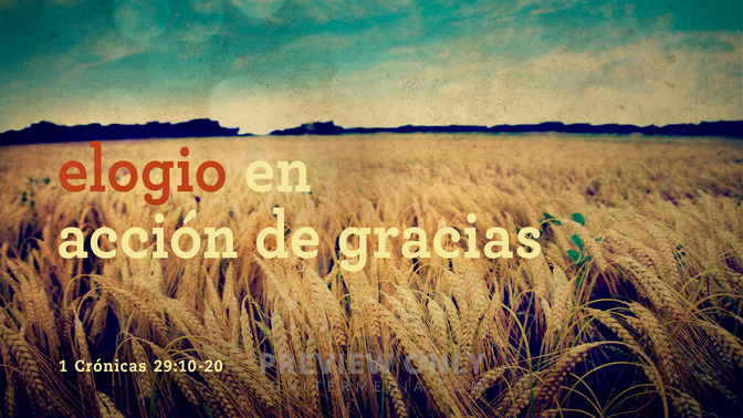 elogio en acción de gracias