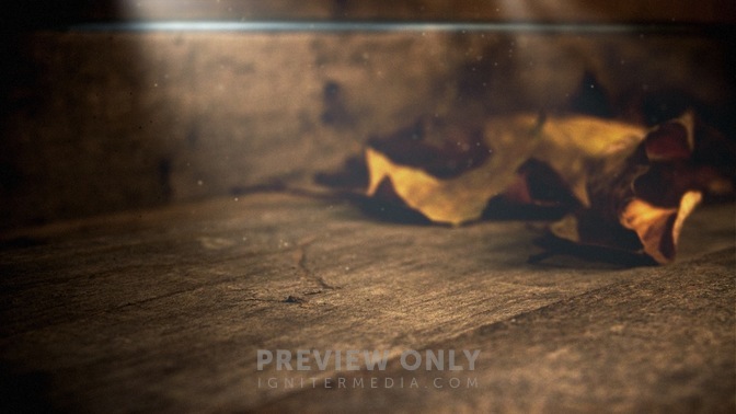 Amber_Leaf_16x9.jpg