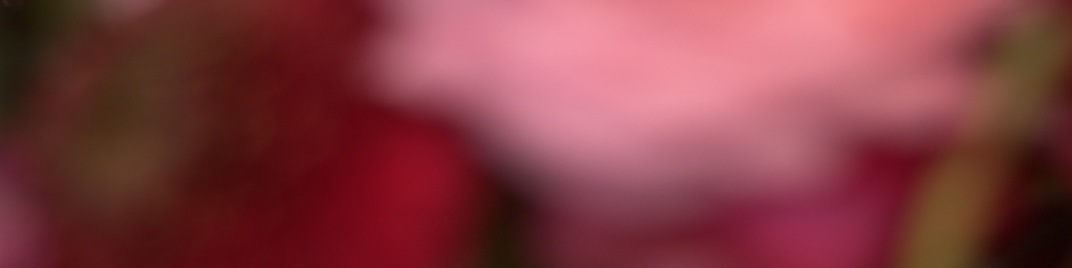 Spring_Floral_Flowers_Rotate_UW_SD.jpg