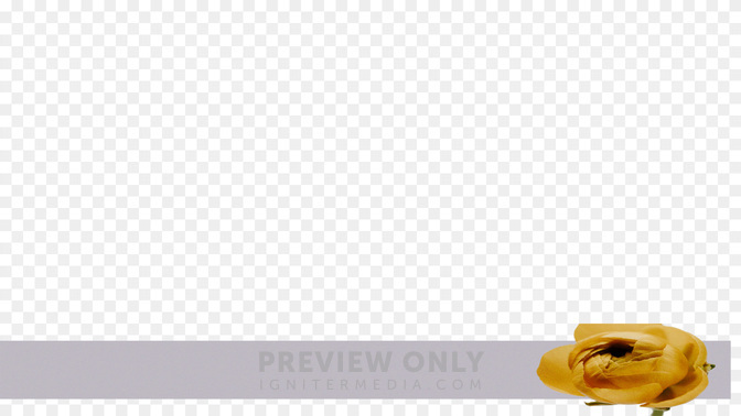 Floral_Details_Floral_Details_L3_TH_Welcome_WIDE#preset=tg_transparent_png_preview.jpg