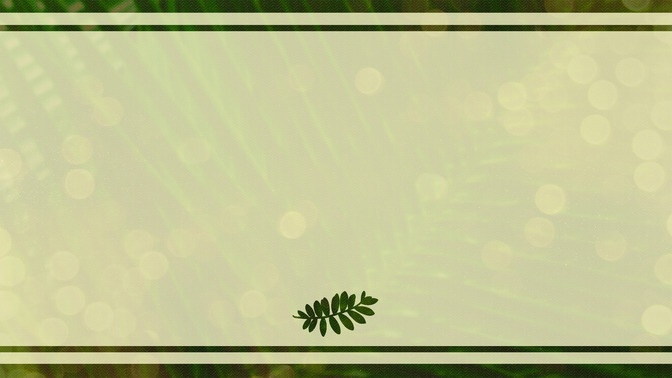 Palm_Bokeh_-_Thank_You_16x9-BACKGROUND#preset=tg_bg.jpg