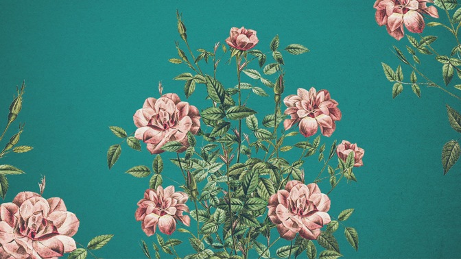 floral burst 4