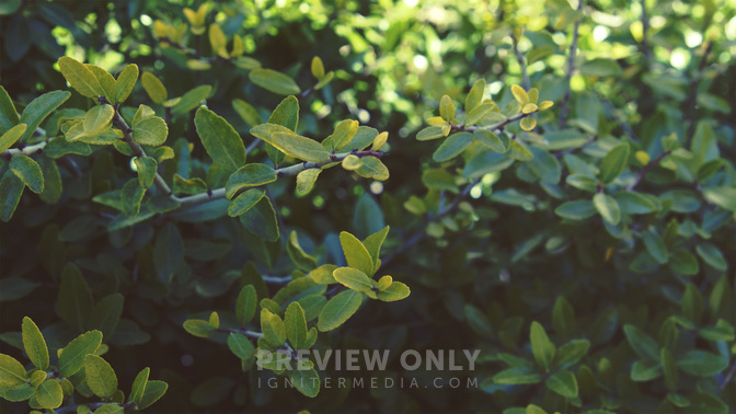 Goodbye-WIDE#preset=tg_title3.jpg