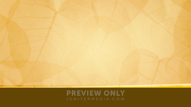 See_You_Next_Week_16x9-BACKGROUND#preset=tg_bg.jpg