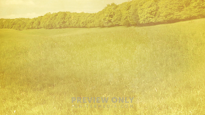 Grassy_Meadow_-_Welcome_16x9-BACKGROUND#preset=tg_bg.jpg