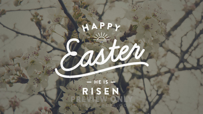Blossoms_-_Happy_Easter_16x9-TITLE-1#preset=tg_title1.jpg