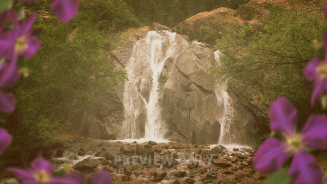 Rocky_Waterfall_Flowers_HD.jpg