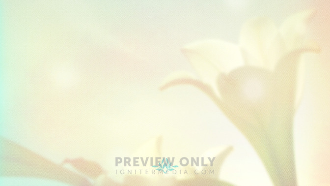Lilies_-_Welcome_To_Church_16x9-BACKGROUND#preset=tg_bg.jpg