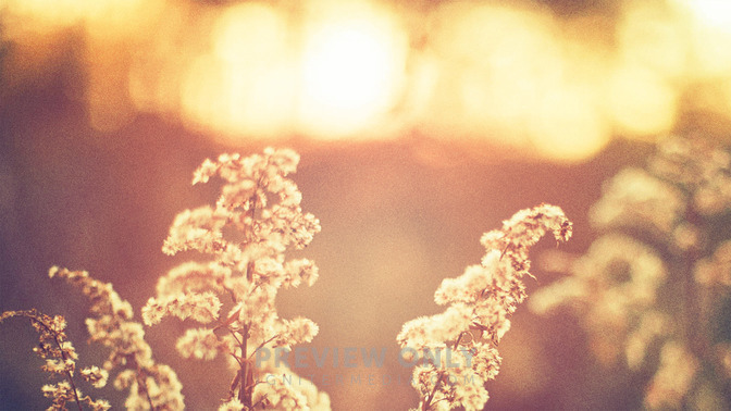 In_God_We_Trust_16x9-TITLE-3#preset=tg_title3.jpg