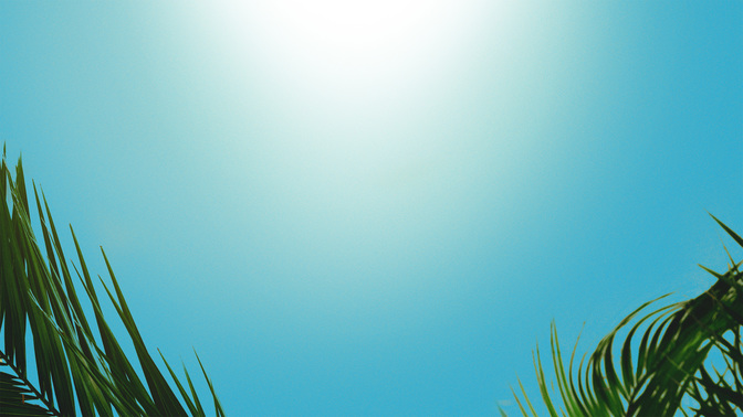 PalmSundayWelcome_WIDE-#preset=tg_alt2.jpg