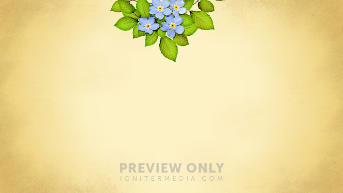 Spring_Flowers_and_Leaves_-_Welcome_16x9-BACKGROUND#preset=tg_bg.jpg