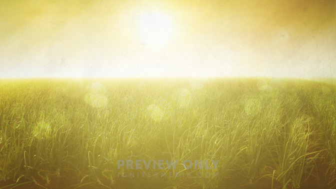 Welcome_This_Easter_16x9-BACKGROUND#preset=tg_bg.jpg