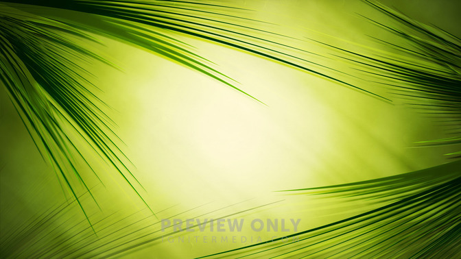 Palm_Sunday_Service_16x9-TITLE-3#preset=tg_title3.jpg