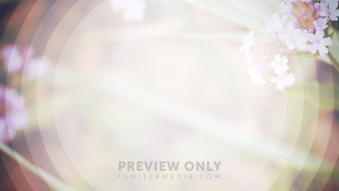 Rest_For_The_Weary_16x9-BACKGROUND#preset=tg_bg.jpg