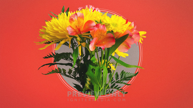 Thank_You_Moms_WIDE-TITLE-3#preset=tg_title3.jpg