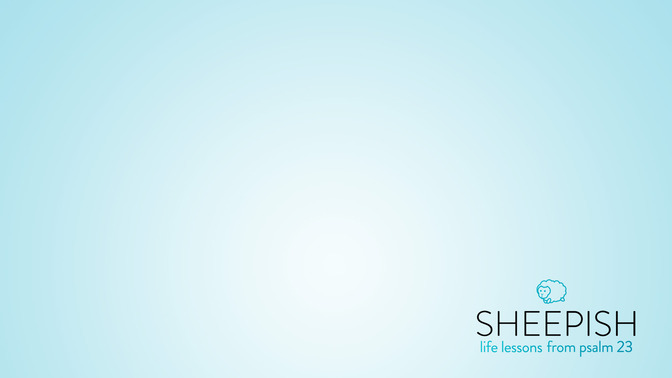 Sheepish_16x9-CONTENT-1#preset=tg_alt1.jpg