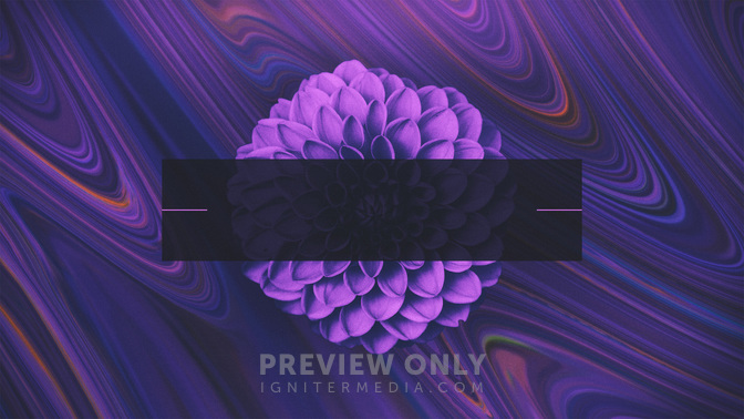 Spring_Mix-Take_Care_WIDE-TITLE-3#preset=tg_title3.jpg